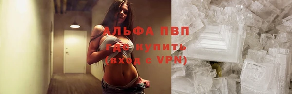 марки nbome Богданович