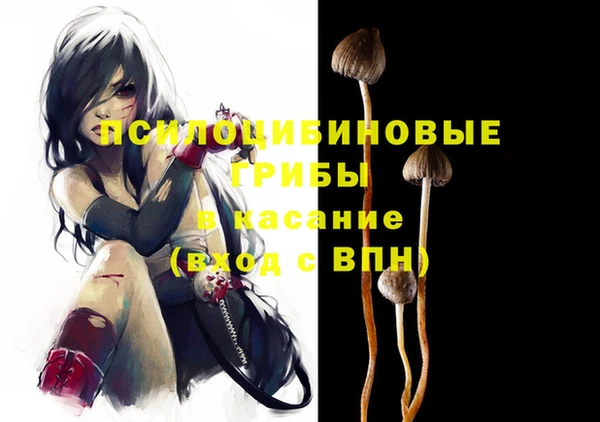 марки nbome Богданович